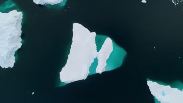 Antarktika Buzdağları Antarktika Okyanusu Nanılmaz Manzara Güney Kutbu Nsansız Hava — Stok video