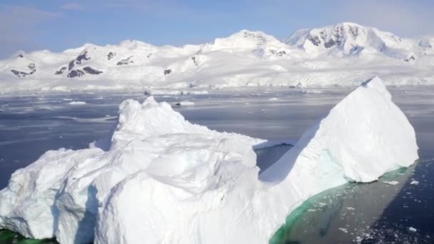 Antartide Iceberg Drone View Paesaggio Fantastico Polo Sud Oceano Antartico — Video Stock