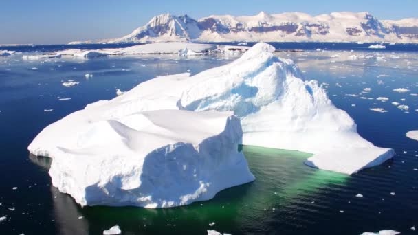 Antarktis Antarktischer Ozean Eisberge Südpol Erstaunliche Landschaft Drohnenblick — Stockvideo