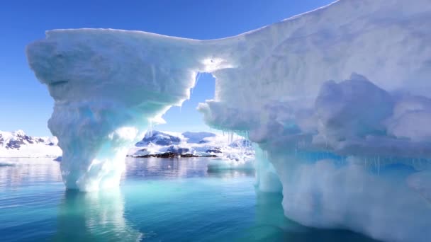 Antartide Oceano Antartico Vista Drone Polo Sud Paesaggio Mozzafiato Iceberg — Video Stock