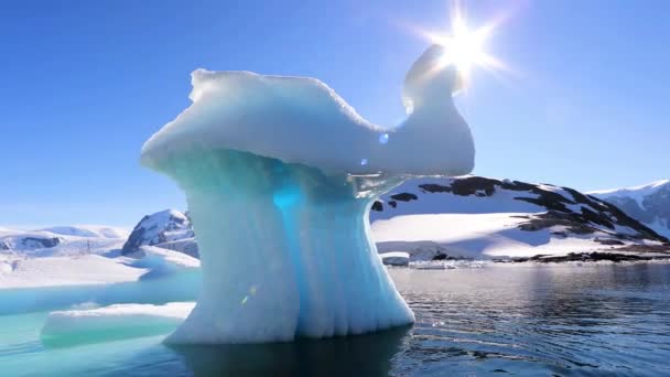 Antártida Océano Antártico Vistas Los Drones Icebergs Paisaje Asombroso Polo — Vídeos de Stock