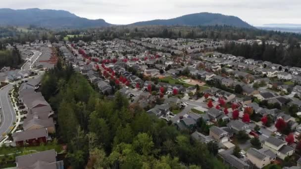 Légi Repülés Mount Vernon Washington Állam Drone View Csodálatos Táj — Stock videók