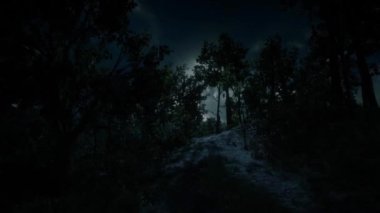Korku Sahnesi, Gizemli Manzara, Siste Korku, Ağaçlar Arasındaki Ay Işığı, Korkunç Karanlık Orman
