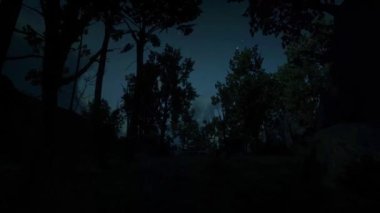 Korku Sahnesi, Korkunç Karanlık Orman, Gizemli Manzara, Gece Ay Işığı, Yağmurdaki Ürpertici Korku