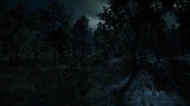 Korku Sahnesi, Gece Ay Işığı, Gizemli Manzara, Yağmurdaki Ürpertici Korku, Korkunç Karanlık Orman