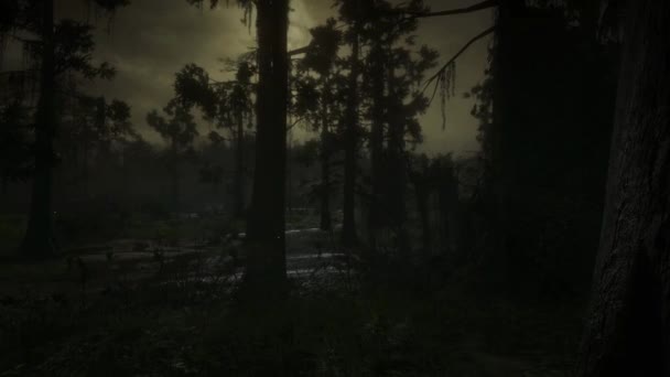 Horrorszene Mystische Landschaft Mondlicht Zwischen Bäumen Unheimlich Dunkler Wald Angst — Stockvideo