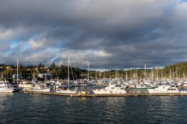 Cuma Limanı, WA USA - Kasım 2021: Güneşli, bulutlu bir günde Washington State Feribotundan muhteşem Cuma Limanı manzarası