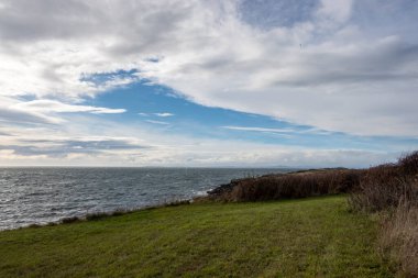 San Juan Adası 'ndaki çimenli kıyı şeridinin muhteşem manzarası. Parlak, güneşli bir günde, kabarık beyaz bulutlar...