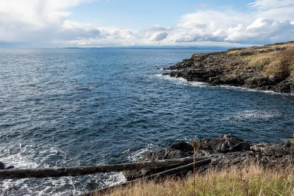 Gorgeous View Grassy Coastline San Juan Island Bright Sunny Day — Stock Photo, Image