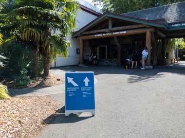 Tacoma, WA USA - Ağustos 2021: Point Defiance Hayvanat Bahçesi 'nde güneşli bir günün tadını çıkaran aileleri görmek.