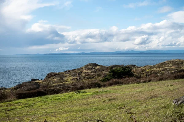 Gorgeous View Grassy Coastline San Juan Island Bright Sunny Day — Stock Photo, Image