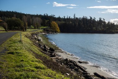 San Juan Adası 'ndaki False Körfezi' nin muhteşem, geniş açılı manzarası. Sonbaharda çoğunlukla bulutsuz, güneşli bir günde.