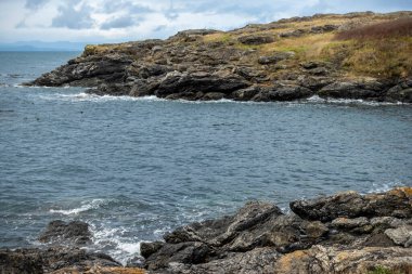 San Juan Adası 'ndaki çimenli, kayalık sahil manzarası. Parlak, güneşli bir günde. Kabarık beyaz bulutlar.