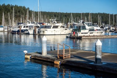 Cuma Limanı, WA USA - Kasım 2021: Sonbaharın aydınlık ve güneşli bir gününde San Juan Adası 'ndaki güzel tekne manzarası.