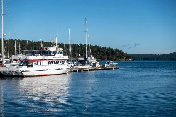 Friday Harbor Usa Circa November 2021 View Sea Plane Landing — Stock Photo, Image