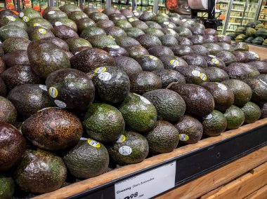 Mill Creek, WA USA - Nisan 2022: Bir kasaba ve ülke bakkalının içindeki geniş bir avokado gösterimine odaklı, seçici bir bakış açısı
