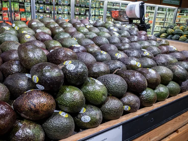 Mill Creek, WA USA - Nisan 2022: Bir kasaba ve ülke bakkalının içindeki geniş bir avokado gösterimine odaklı, seçici bir bakış açısı.