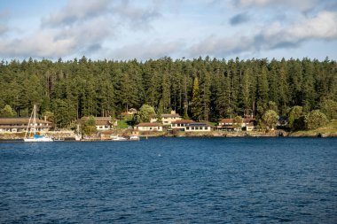 Cuma Limanı, WA USA - Kasım 2021: Bulutlu bir günde San Juan Adası kıyısı boyunca ev ve kulübelerin görüntüsü.