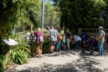 Tacoma, WA USA - Ağustos 2021: Açık, güneşli bir günde Point Defiance Hayvanat Bahçesi 'nde sergilenen yetişkinlerin ve çocukların görüntüsü.