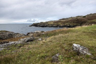 San Juan Adası 'ndaki çimenli kıyı şeridinin muhteşem manzarası. Parlak, güneşli bir günde, kabarık beyaz bulutlar...