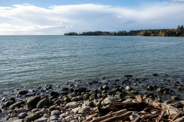 Skalnaté Pobřeží False Bay San Juan Island Doplňování Odlivu Slunečného — Stock fotografie