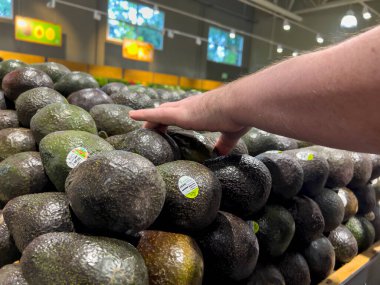 Seattle, WA USA - Ekim 2022: Bir kasaba ve taşra marketinde avokado yakalayan bir adamın yakın görüntüsü.