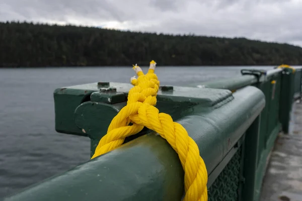 Close Selective Focus Yellow Knotted Rope Green Railing Washington State — Stock Photo, Image