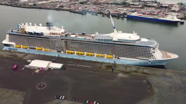 Anthe Seas Κρουαζιερόπλοιο Royal Caribbean Αγκυροβολημένο Στο Λιμάνι Του Μπέλφαστ — Αρχείο Βίντεο
