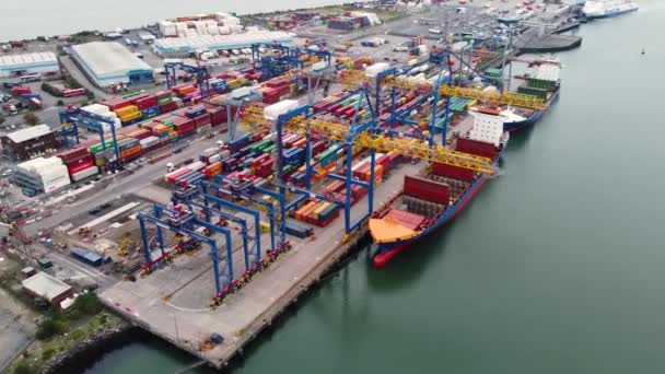 Jork Ruler Ruby Розвантажують Контейнери Крейн Працюють Container Terminals Belfast — стокове відео