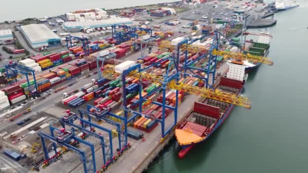 Jork Ruler Ruby Розвантажують Контейнери Крейн Працюють Container Terminals Belfast — стокове відео