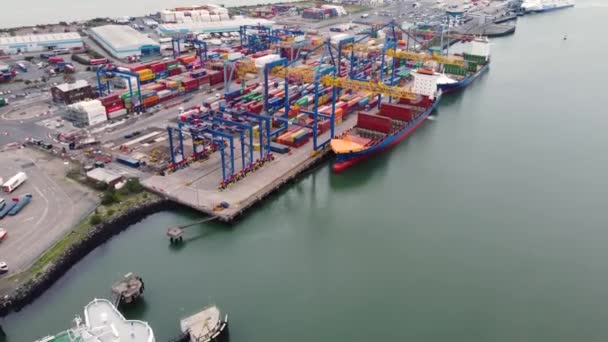 Jork Ruler Ruby Розвантаження Контейнерів Крейн Працює Container Terminals Belfast — стокове відео