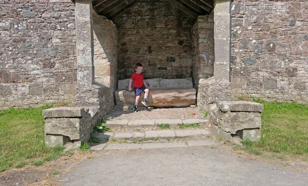 Piccolo Ragazzo Seduto Tronco Drum Manor Forest Park County Tyrone — Foto Stock