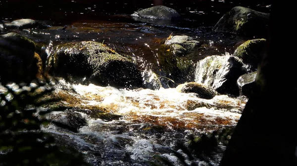 Glenarm River Brown Water Forest Antrim Irlanda Norte Outono Pôr — Fotografia de Stock