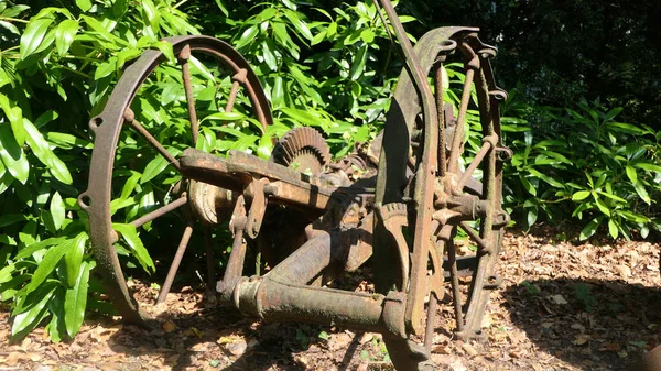 Horse Drawn Farming Equipment Hay Gereblye Használt Gereblyézés Széna — Stock Fotó