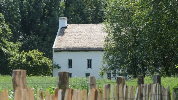 アイルランドの農場に茅葺き屋根の古いアイルランドの伝統的な白塗りのコテージ — ストック写真