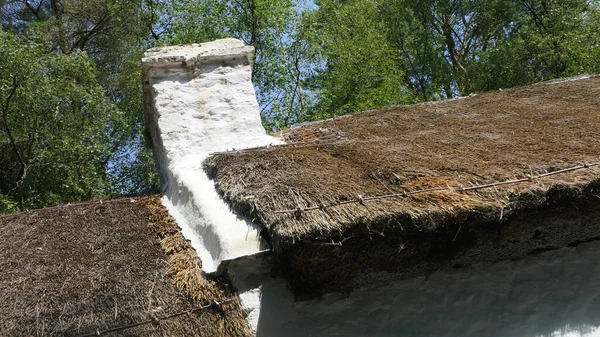 Old Irish Traditional Whitewashed Cottage Met Rieten Dak Een Boerderij — Stockfoto