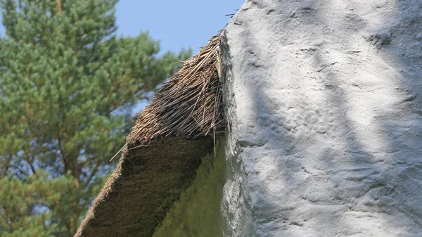 Rlanda Bir Çiftliğin Sazdan Çatılı Eski Rlanda Geleneksel Beyaz Yıkanmış — Stok fotoğraf