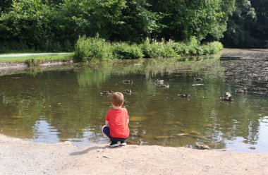 Kızıl saçlı çocuk göldeki ördekleri besliyor.