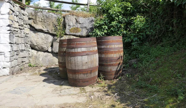 Eski Katı Meşe Ahşap Viski Fıçısı Kerestesi — Stok fotoğraf