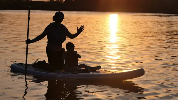 Paddleboarding Lago Uma Noite Verão Hora Dourada Luz Solar — Fotografia de Stock