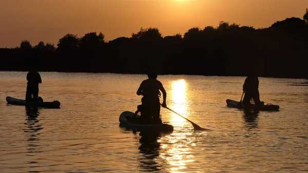 Paddleboarding Lago Uma Noite Verão Hora Dourada Luz Solar — Fotografia de Stock