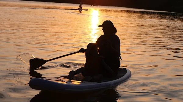 Paddleboarding Lago Uma Noite Verão Hora Dourada Luz Solar — Fotografia de Stock