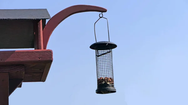 Amendoins Alimentador Mesa Pássaro Uma Cerca Jardim — Fotografia de Stock