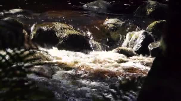 Glenarm Brown River Water Flowing Irish Sea Northern Ireland — Vídeos de Stock