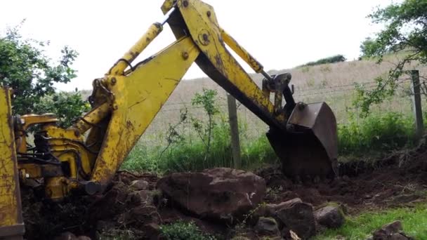 Yellow Digger Taking Away Hedge Moving Large Stones Farm — Video