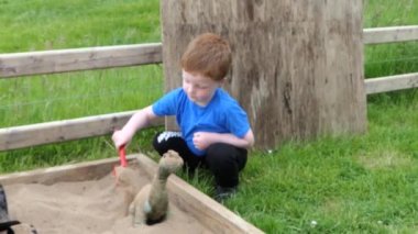 Kızıl saçlı çocuk kum havuzunda wiyh oyuncakları oynuyor. 