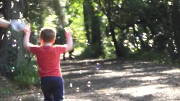 Μικρό Παιδί Κυνηγούν Φυσαλίδες Ένα Ξύλο Θολή Από Την Εστίαση — Αρχείο Βίντεο