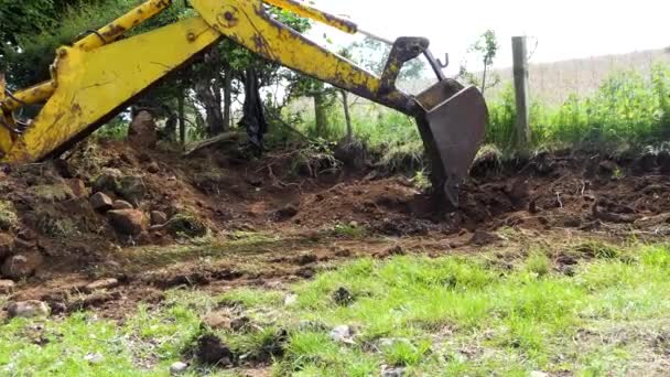Yellow Digger Taking Away Hedge Moving Large Stones Farm — Video Stock