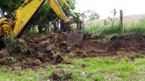 Yellow Digger Taking Away Hedge Moving Large Stones Farm — Wideo stockowe