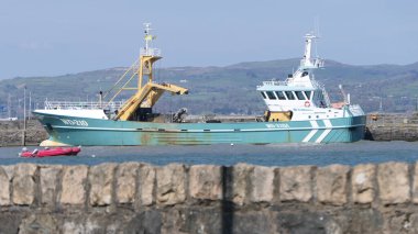 Carlingford Limanı 'ndaki Boa Balıkçısının Kanatları Lough Co Louth İrlanda 06-06-22